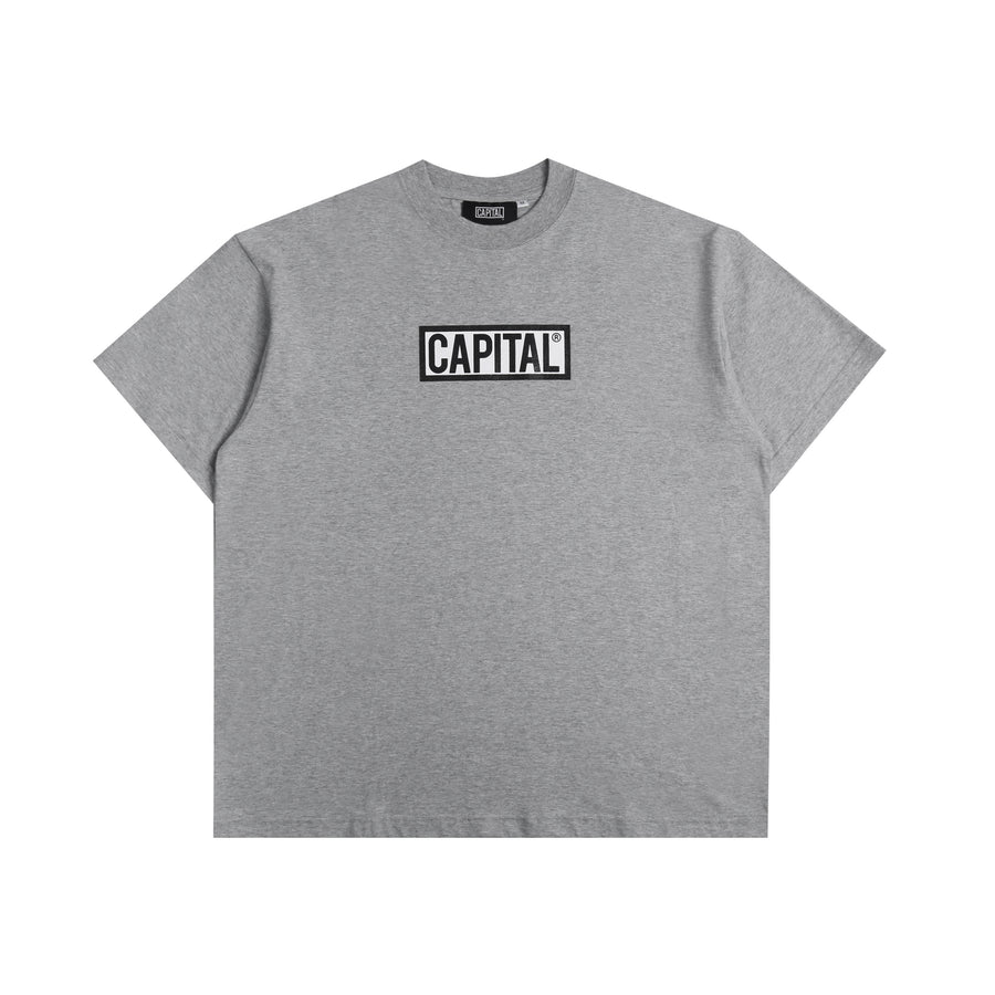 Capital Big Logo - Grey
