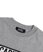 Capital Big Logo - Grey