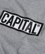 Capital Big Logo - Grey